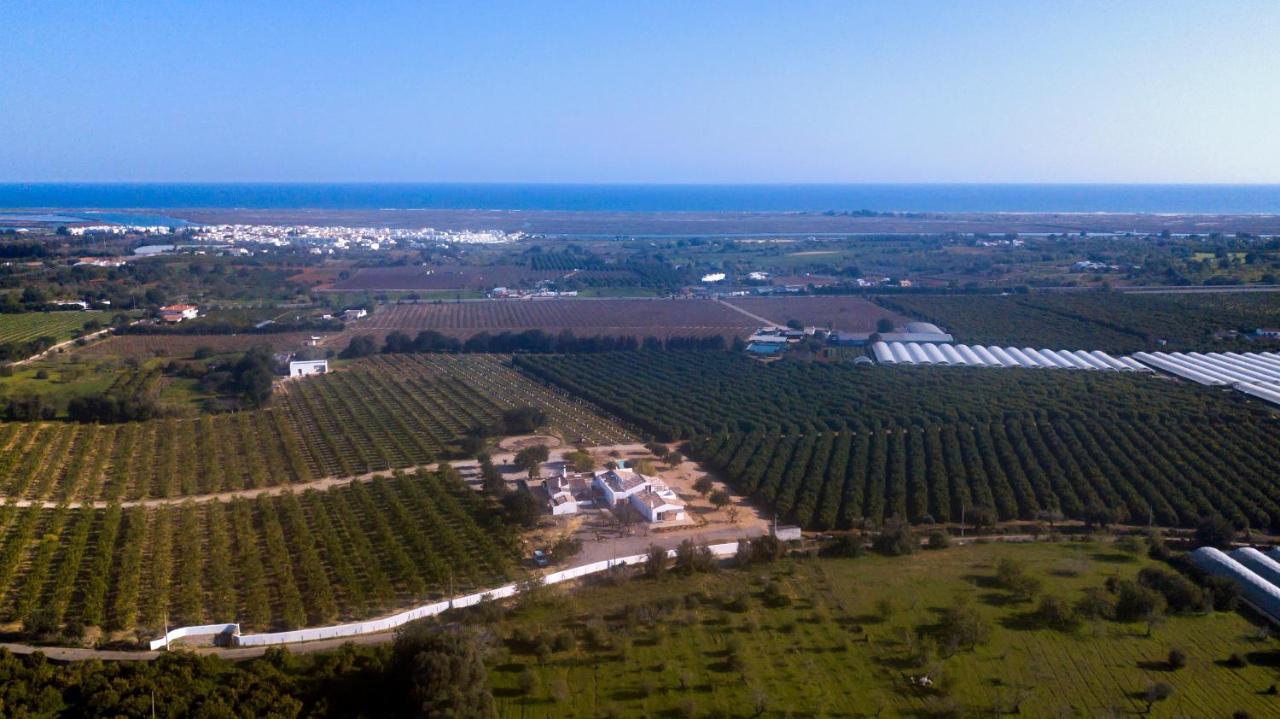 Quinta Da Pintassilga Villa Tavira Dış mekan fotoğraf