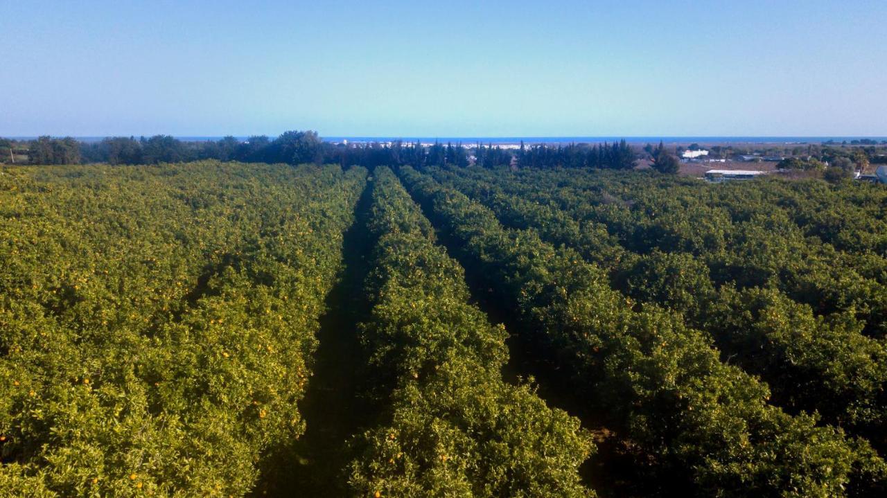 Quinta Da Pintassilga Villa Tavira Dış mekan fotoğraf